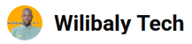Wilibaly Tech