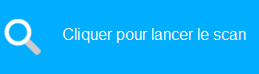 Bouton Cliquer pour démarrer l’analyse