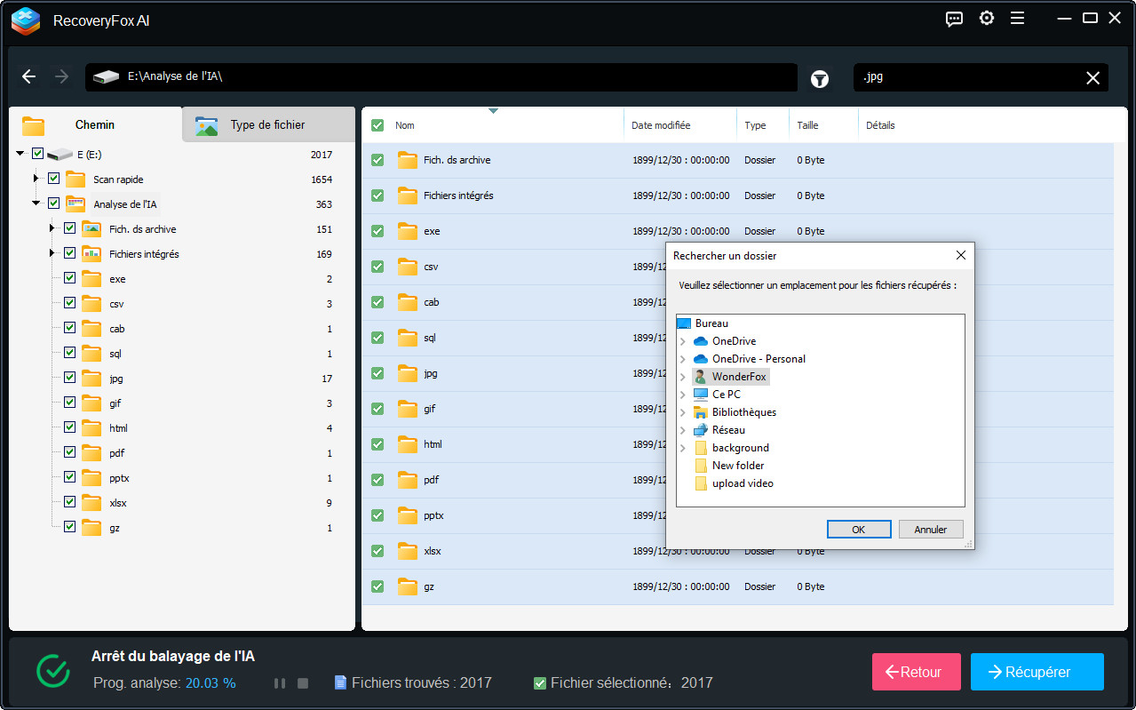 RecoveryFox AI Options de récupération