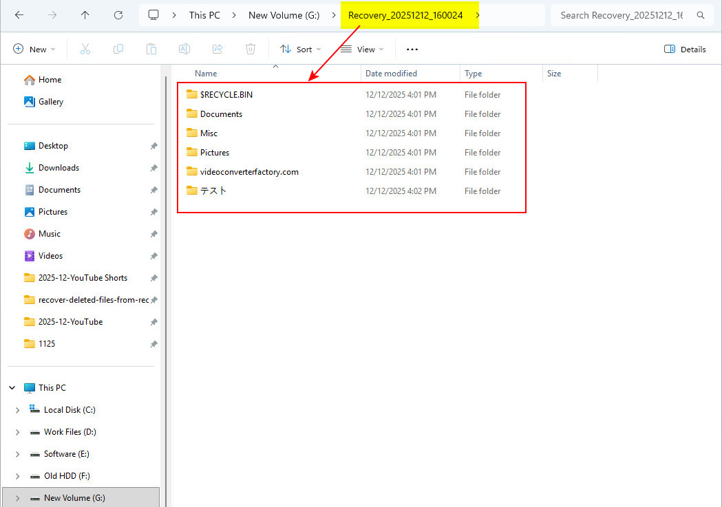 Tous les fichiers perdus récupérés